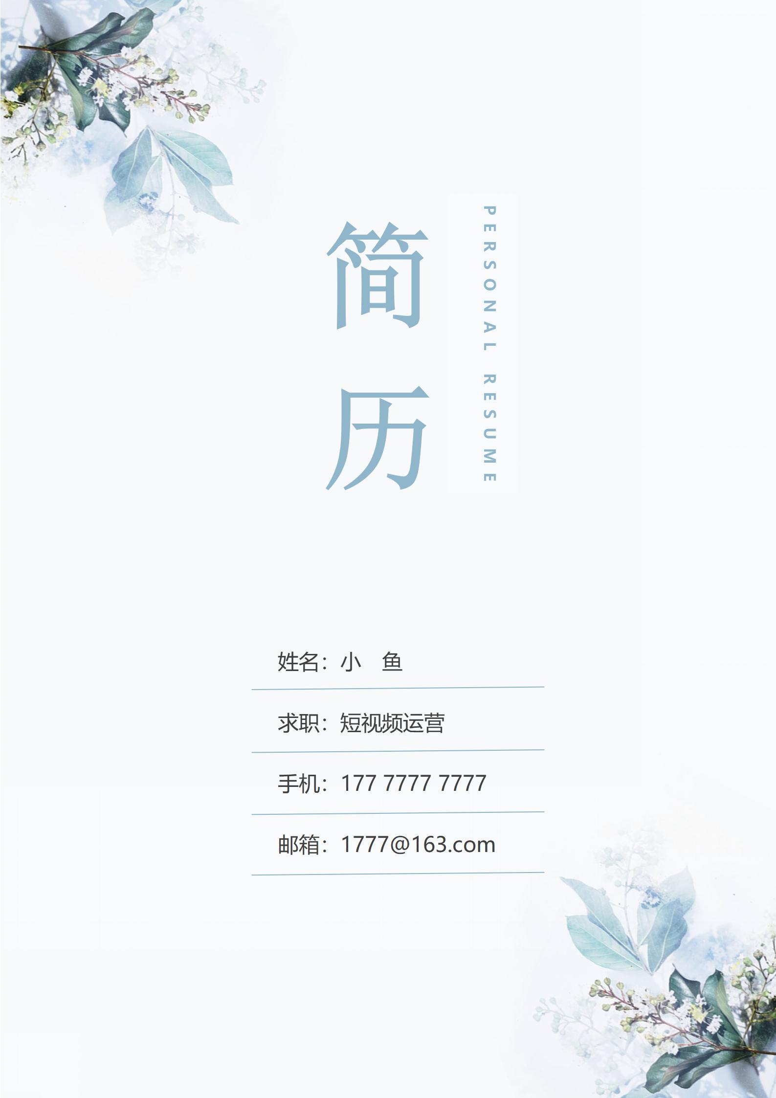 DY-000114静谧职场莫兰迪色系简历套装/