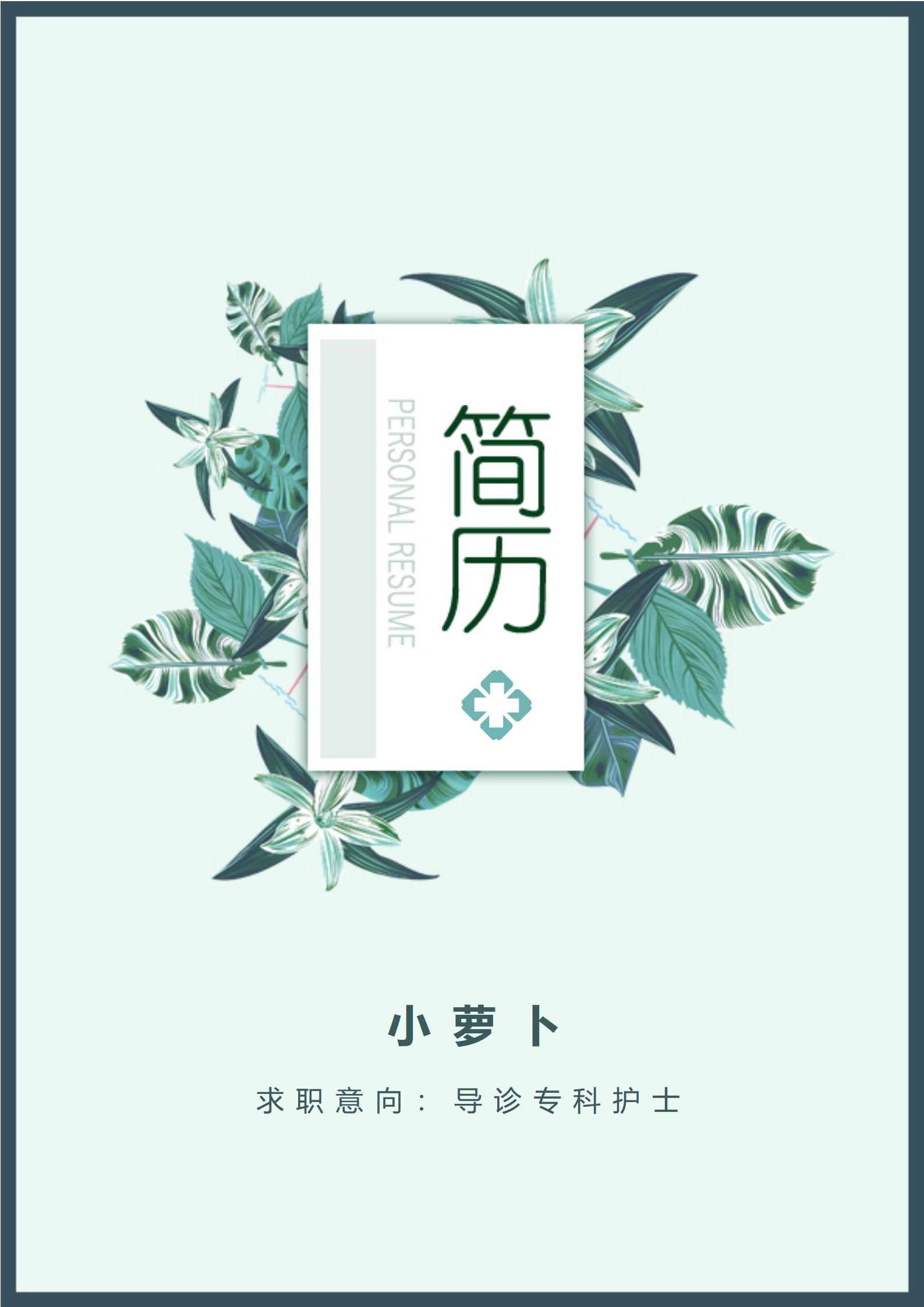 DY-000594页简历模板护士专用/