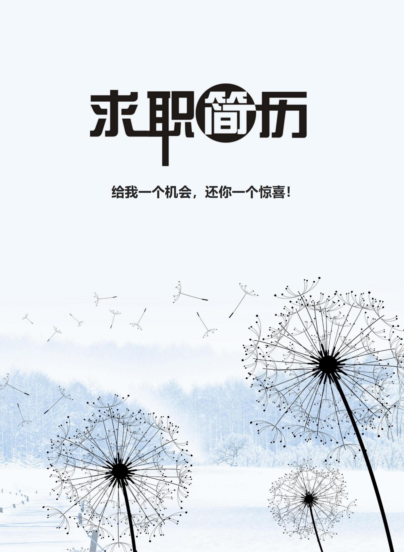 FM-00054创意图像简历封面模板系列/