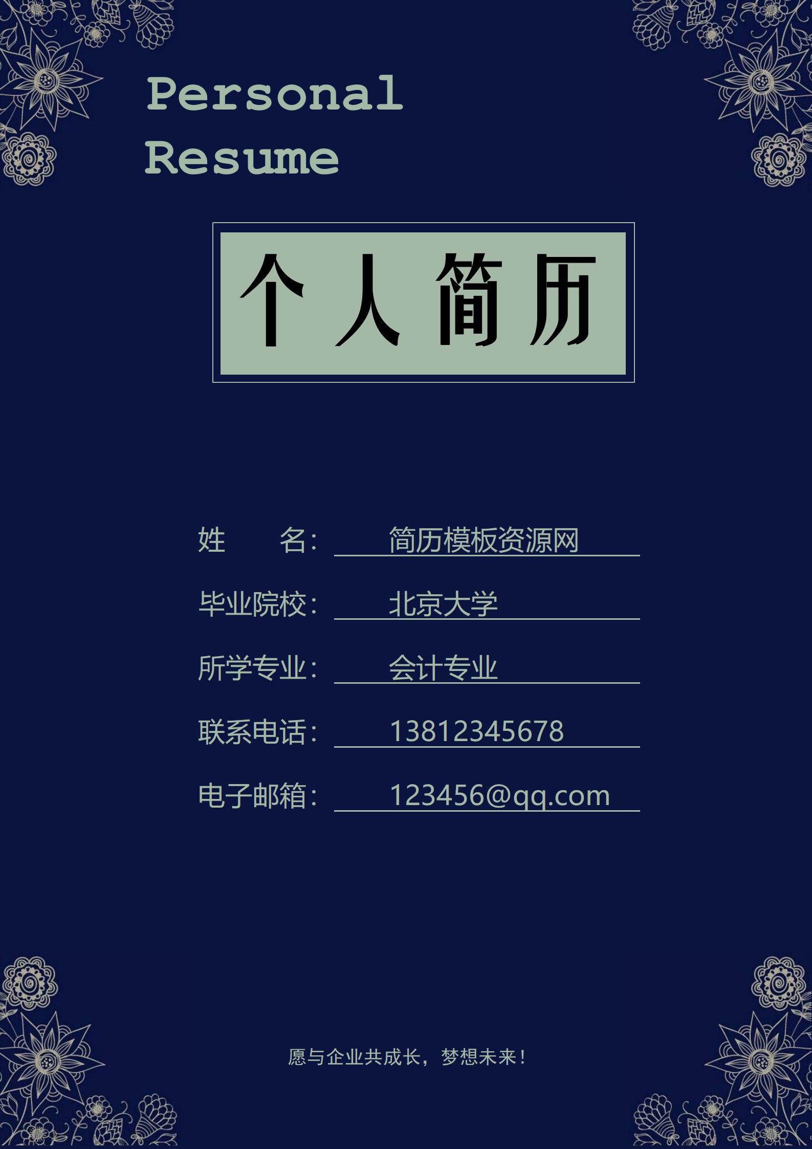 D7Y-00015大学生求职简历模板组合/