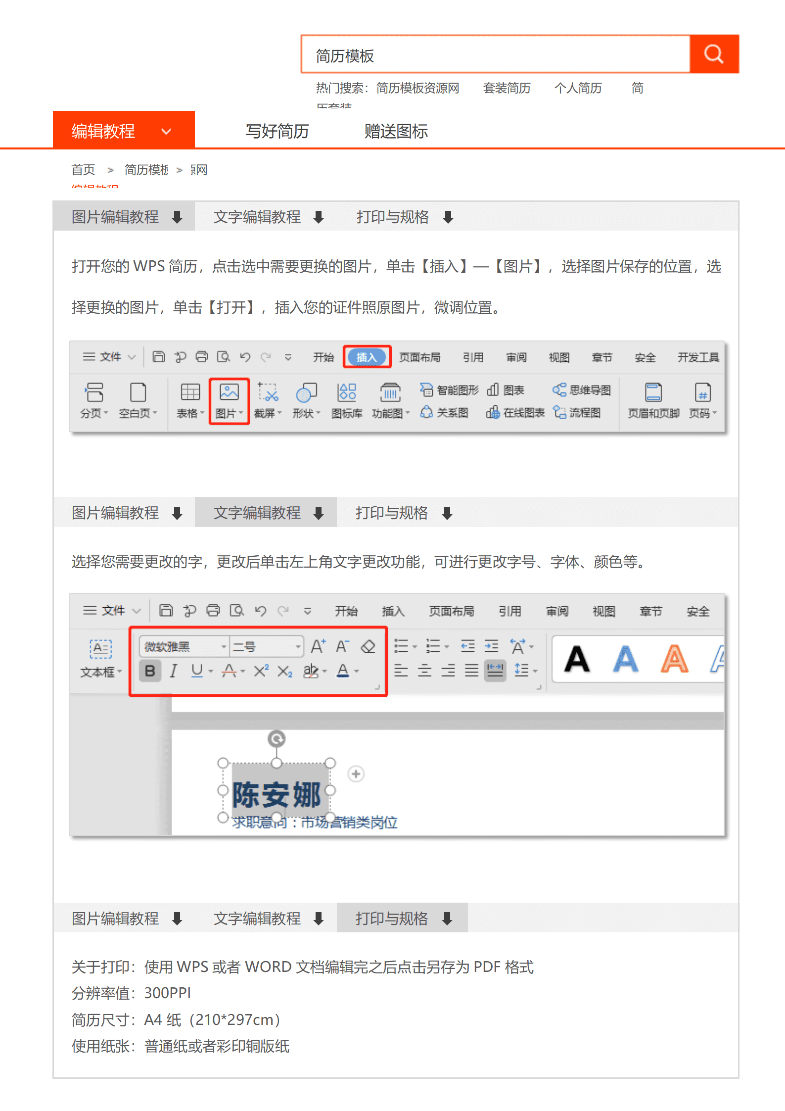 QIye-0099商务套装简历旅游顾问/