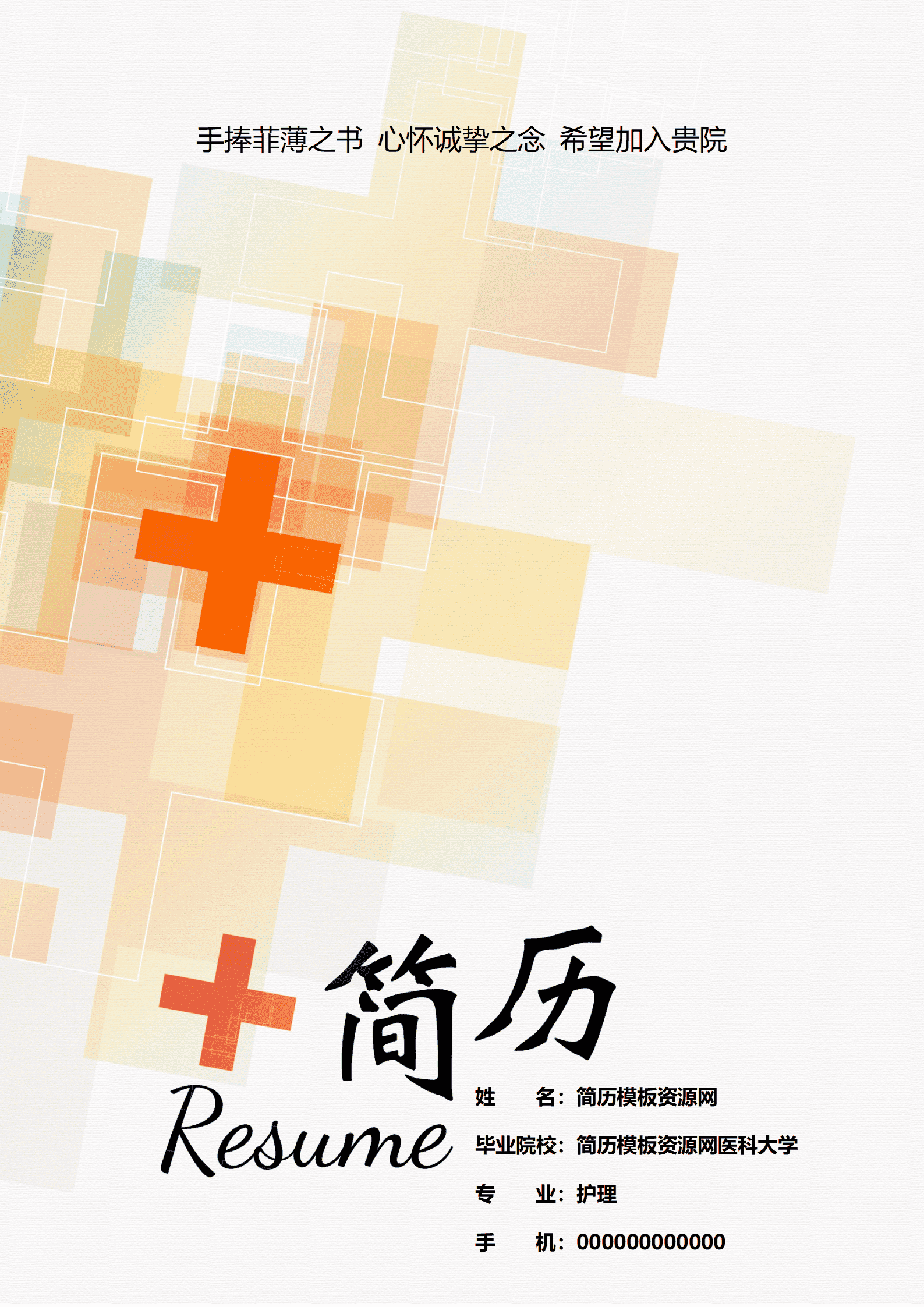 BYDE-00052护理学成套免费简历模板/
