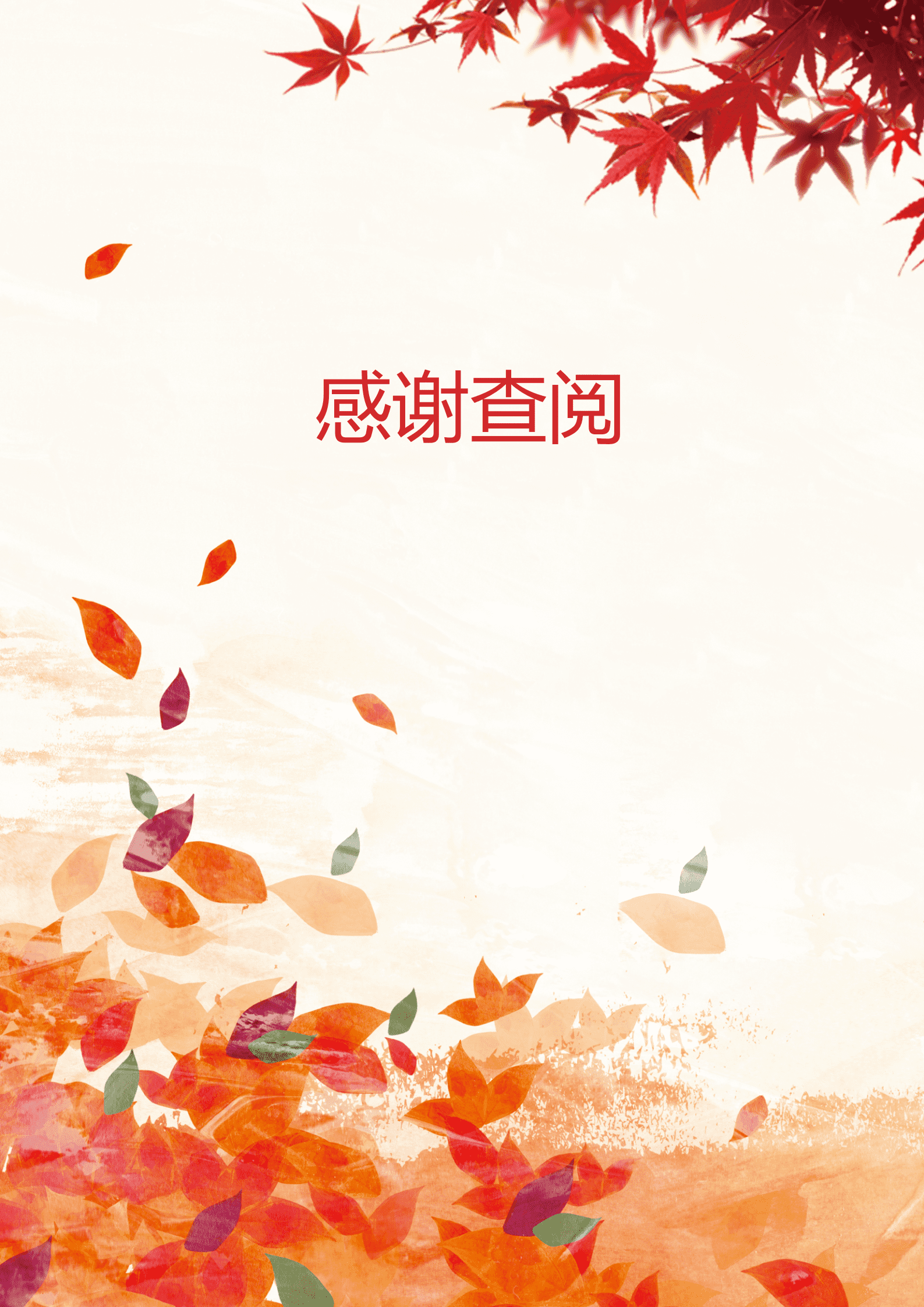 BAY-00017成套简历花纹个人简历word简历模板/