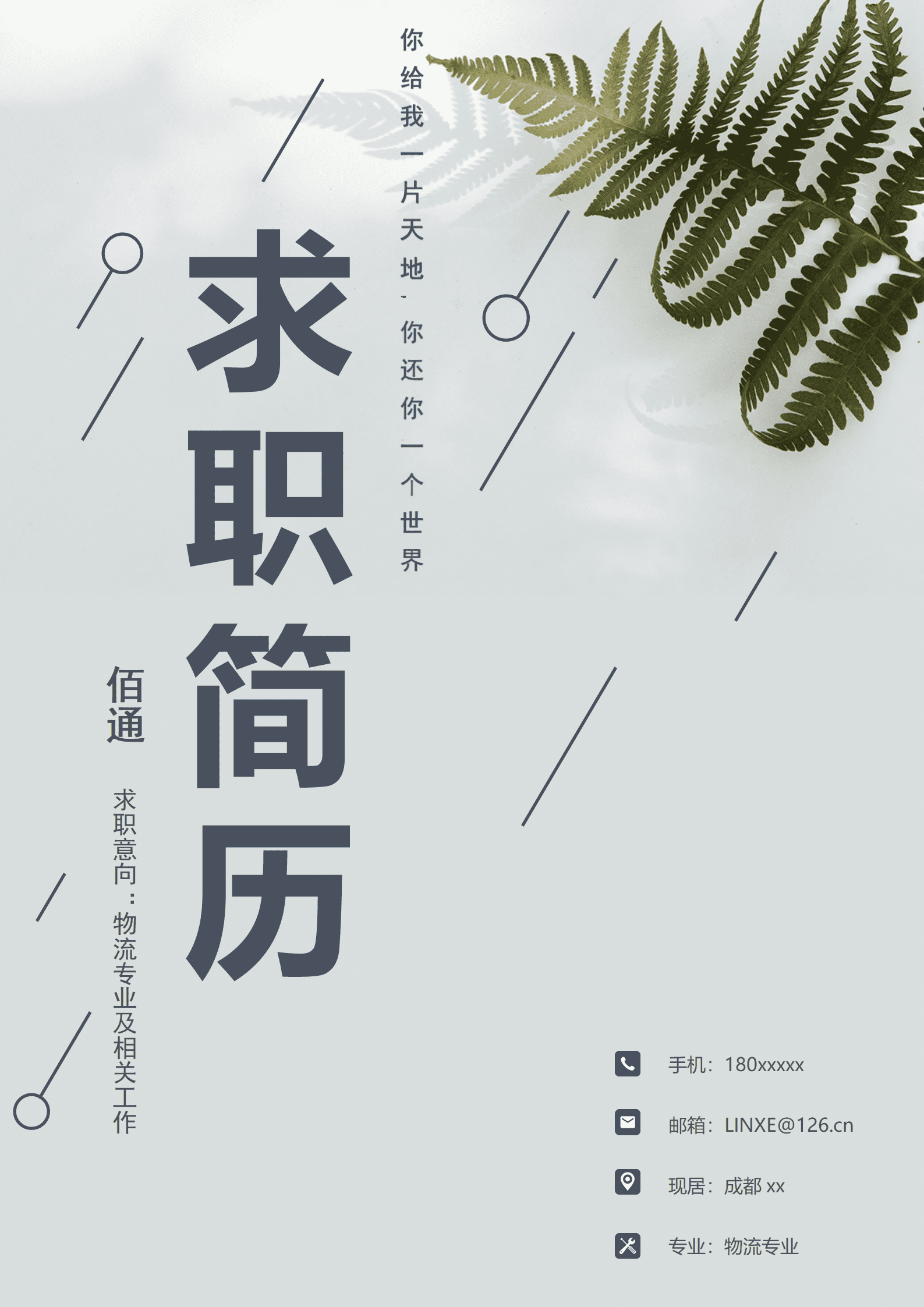 BYDS-000316物流简历模板下载/