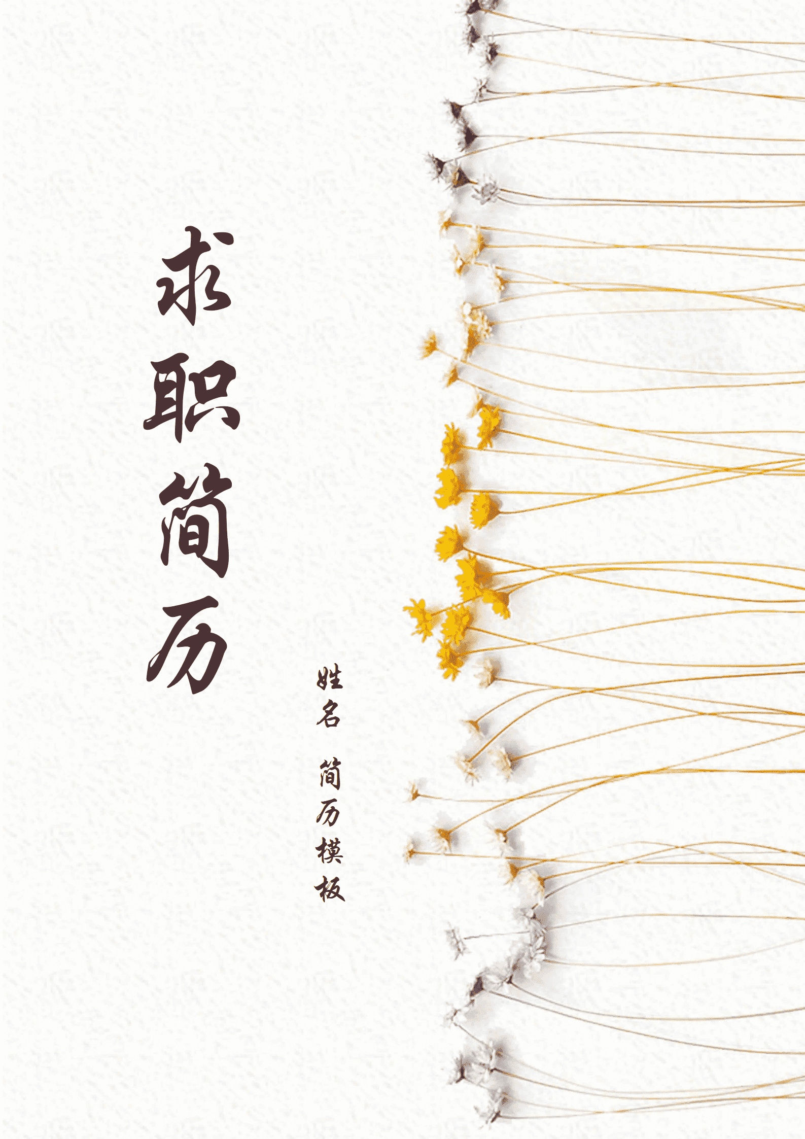 BYDE-000150求职简历免费套装/