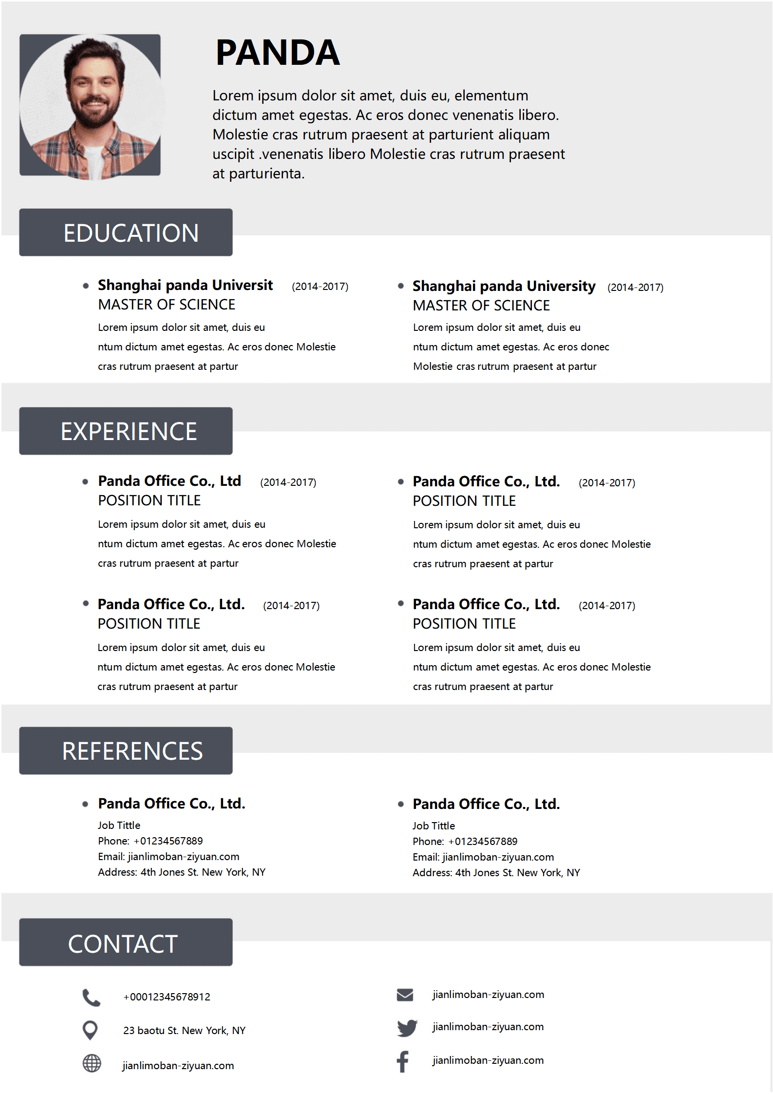BYDE-00075简约大气英文简历模板/