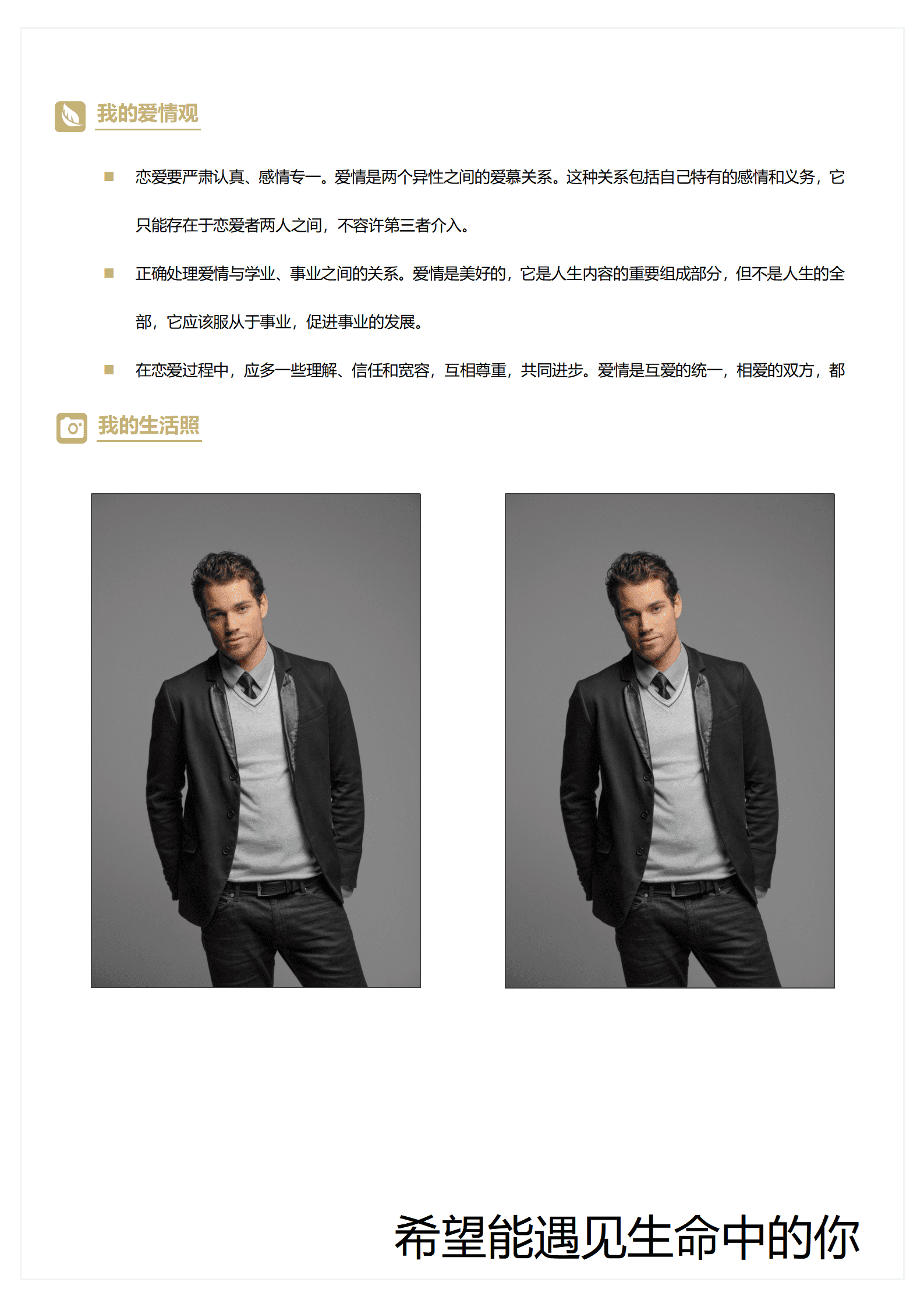 ZWSY-000159相亲用的简历模板word格式/