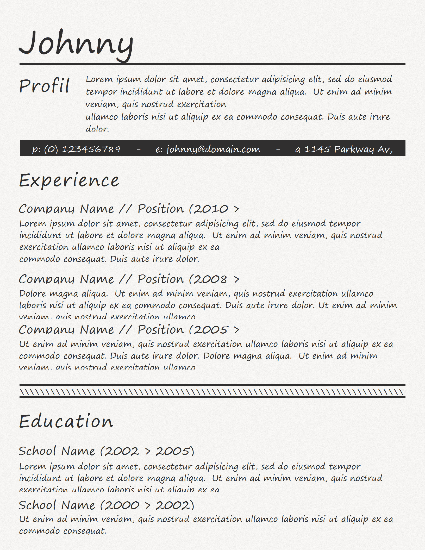 SEZT-0009博士求职黑白简约风简历模板/